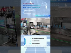 Boxing verpakkingsmachine naaisi